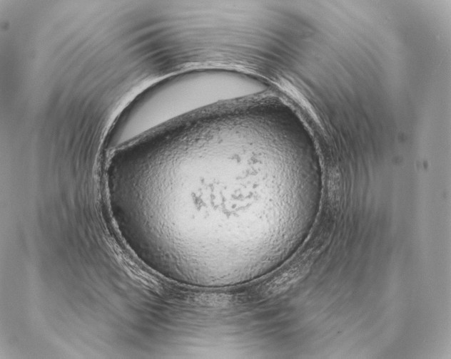 X0000087381068200705111730