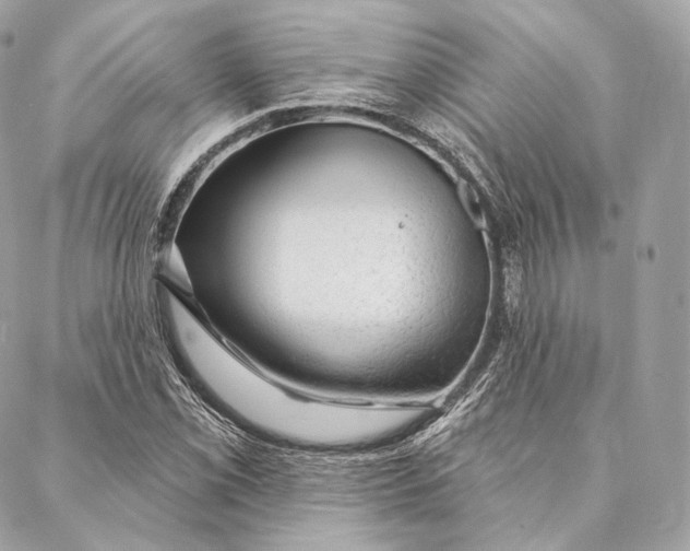 X0000087381069200705111730