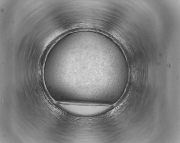 X0000087381070200705111730