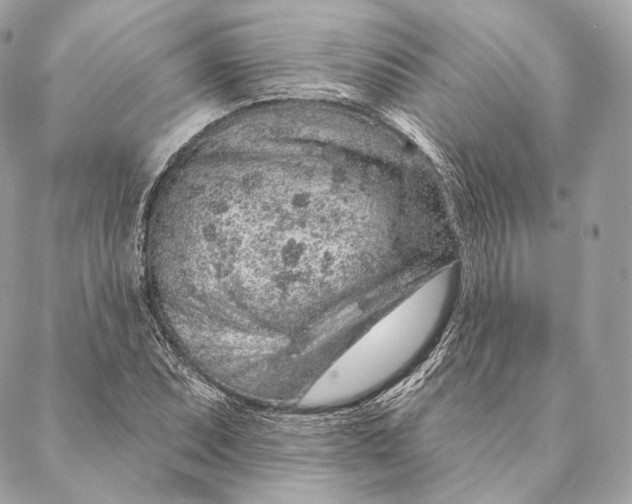 X0000087381071200705111730