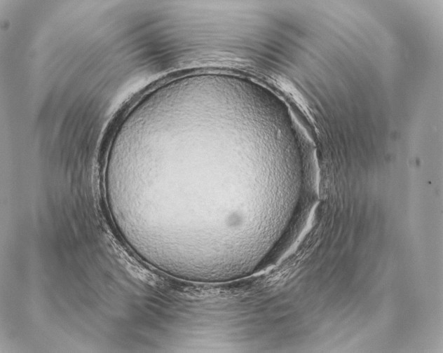 X0000087381072200705111730