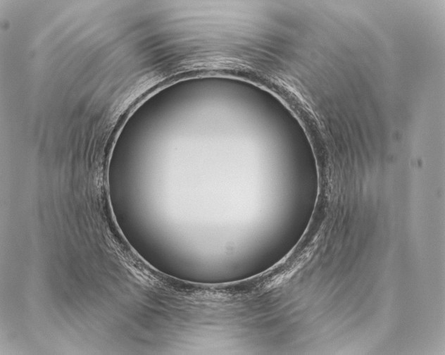 X0000087381073200705111730