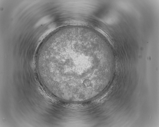 X0000087381074200705111729