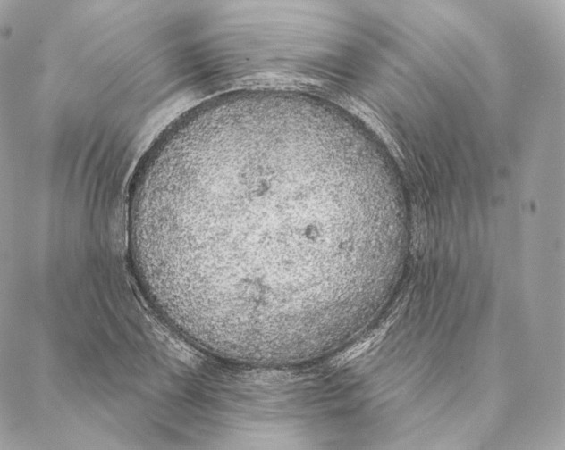 X0000087381075200705111729