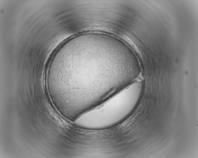 X0000087381076200705111729