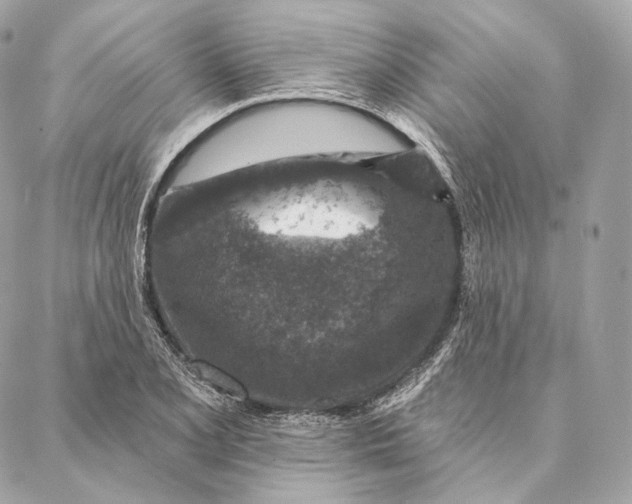 X0000087381077200705111729