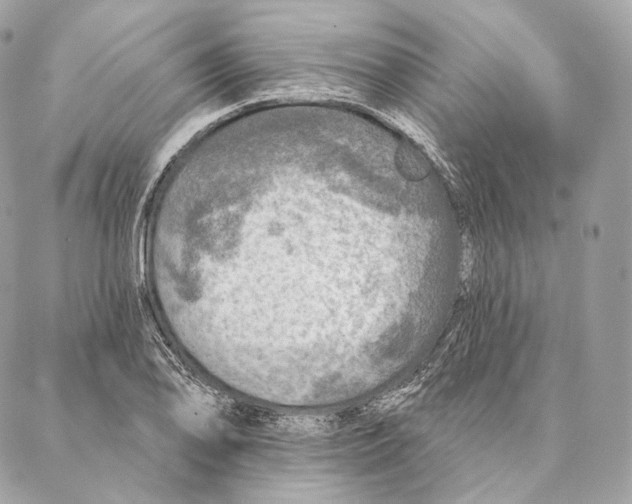 X0000087381078200705111729