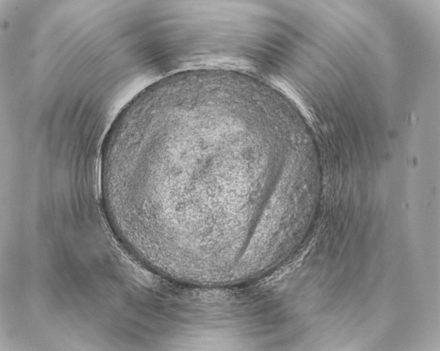 X0000087381079200705111729