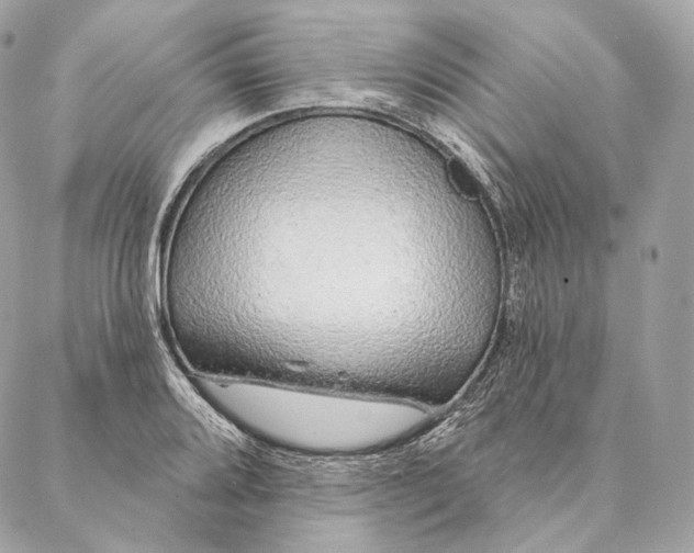 X0000087381080200705111729