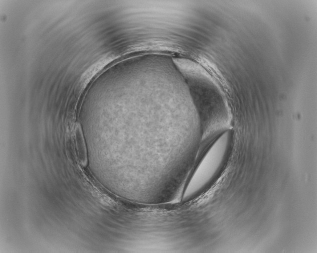 X0000087381081200705111729