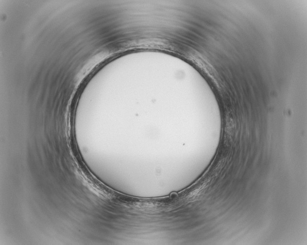 X0000087381082200705111729