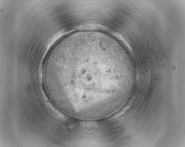 X0000087381083200705111729