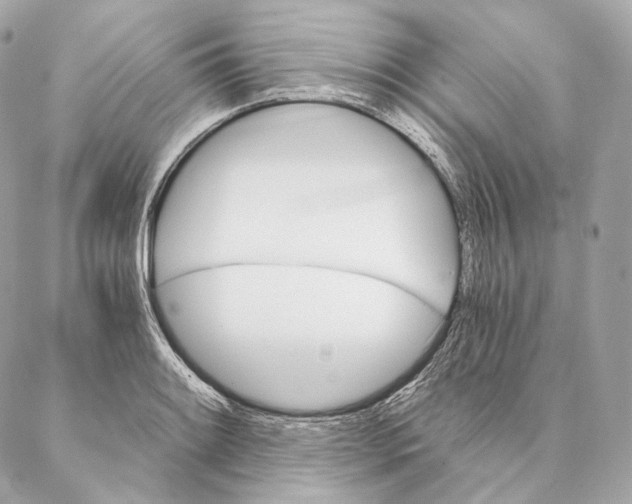 X0000087381084200705111729