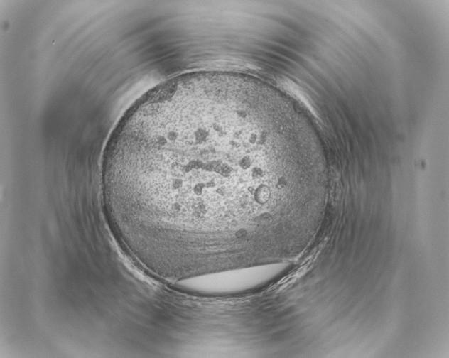 X0000087381087200705111729