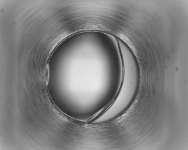 X0000087381089200705111729