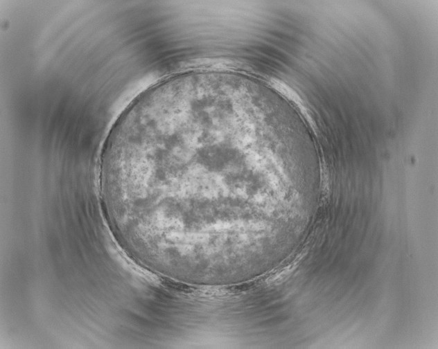 X0000087381090200705111729