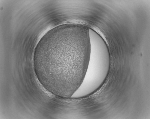 X0000087381091200705111729