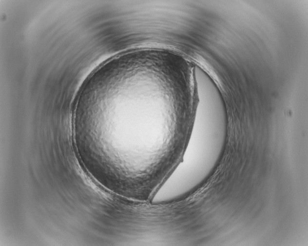 X0000087381092200705111729