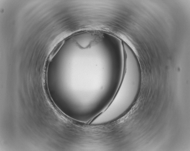 X0000087381093200705111729