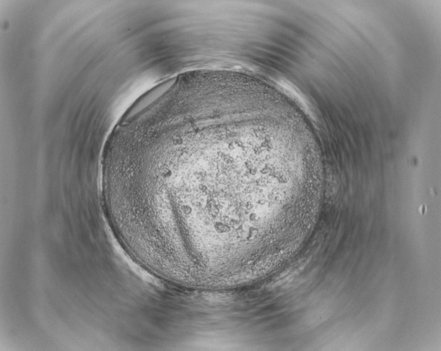 X0000087381095200705111729