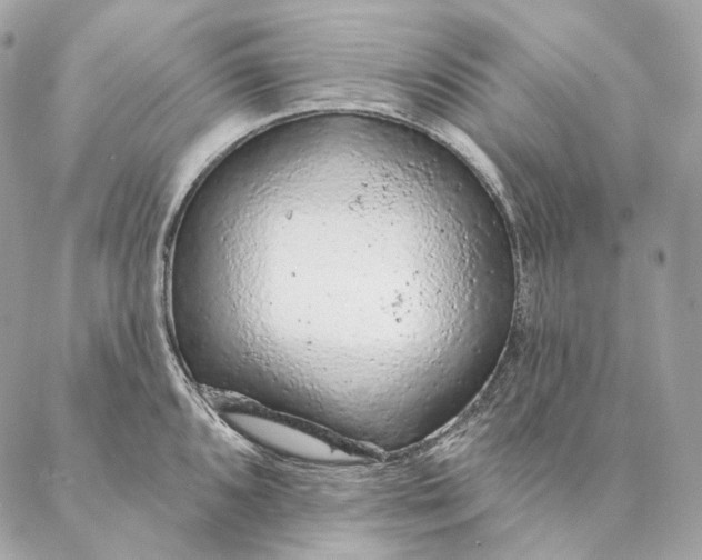 X0000087381096200705111729