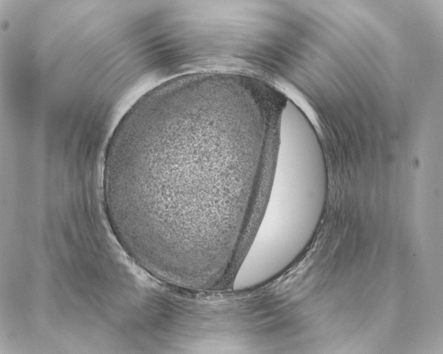 X0000087381099200705111729