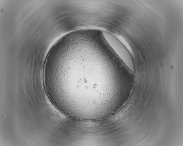 X0000087381100200705111729