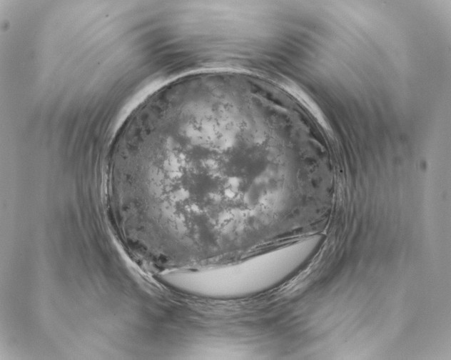 X0000087381101200705111729