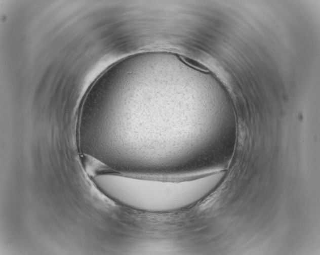 X0000087381102200705111729