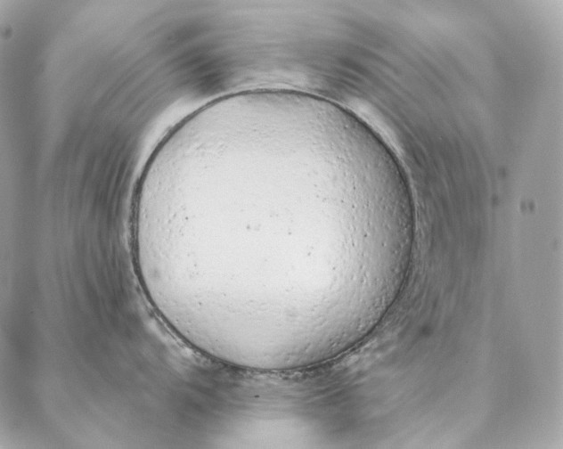 X0000087381104200705111729