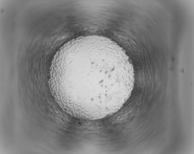 X0000087381105200705111728