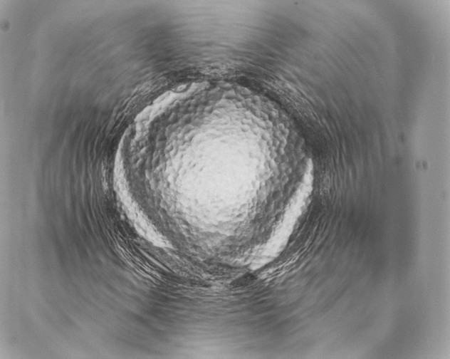 X0000087381106200705111728