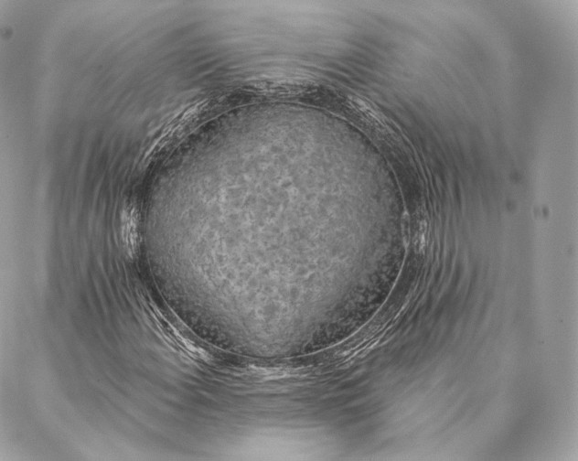 X0000087381108200705111728