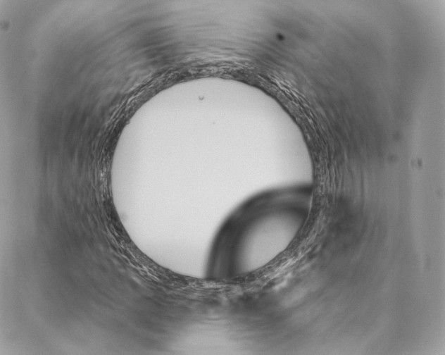 X0000087381109200705111728