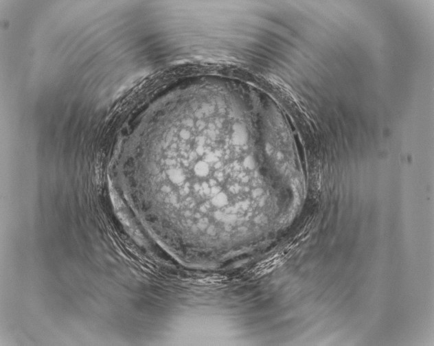 X0000087381110200705111728