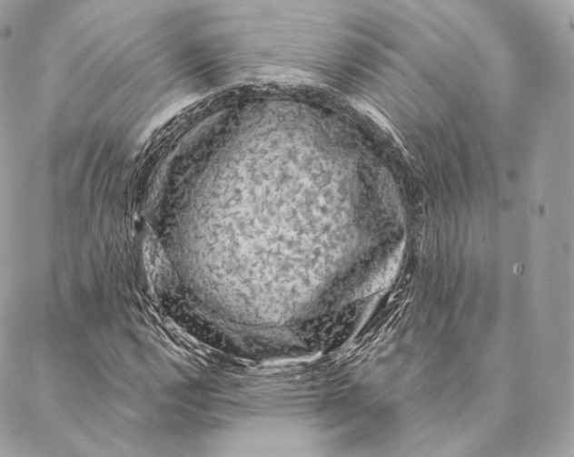 X0000087381112200705111728