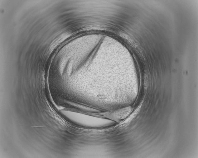 X0000087381113200705111728