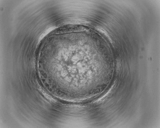 X0000087381114200705111728