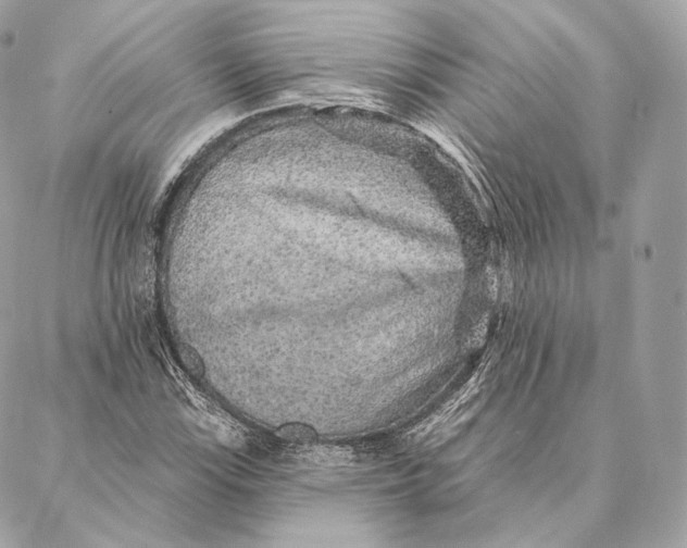 X0000087381115200705111728