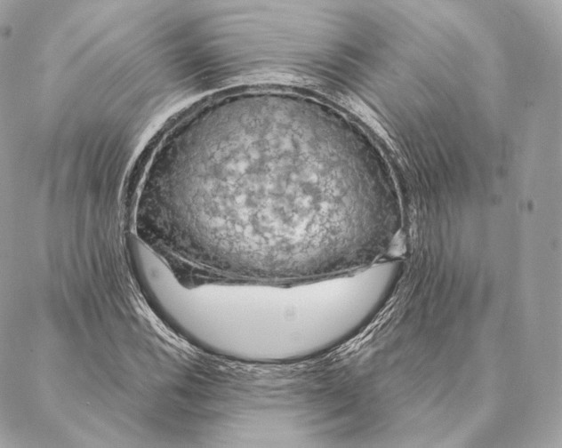 X0000087381116200705111728