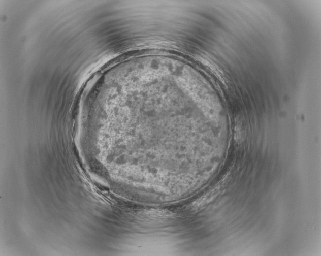 X0000087381117200705111728