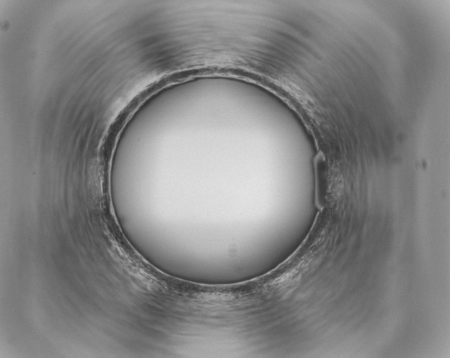 X0000087381118200705111728