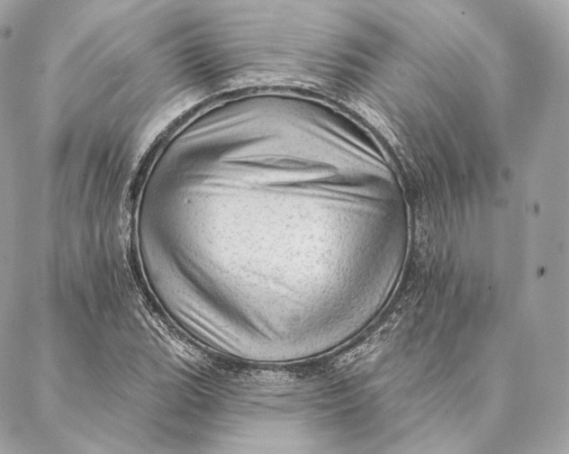 X0000087381119200705111728