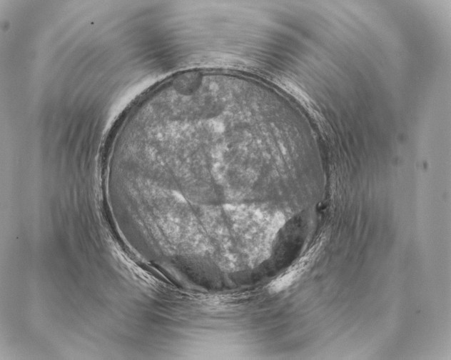 X0000087381120200705111728