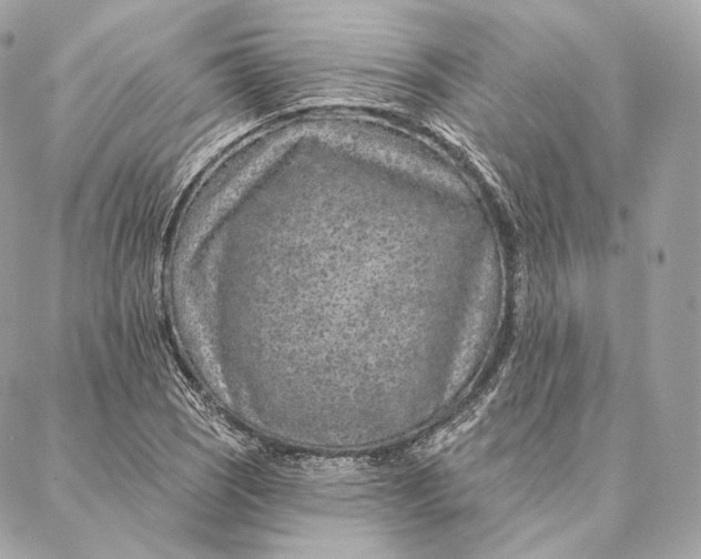 X0000087381121200705111728