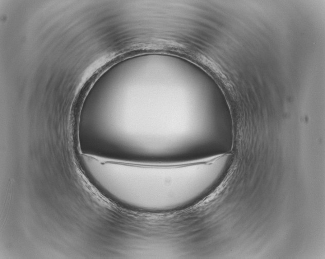 X0000087381122200705111728