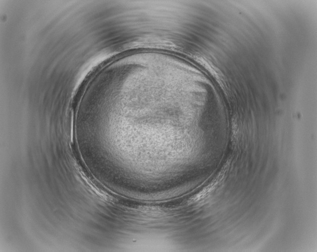 X0000087381123200705111729