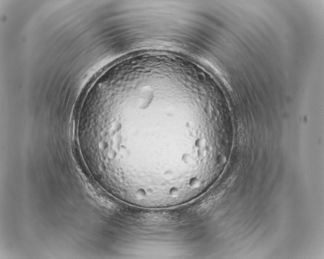 X0000087381125200705111729