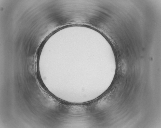 X0000087381126200705111729