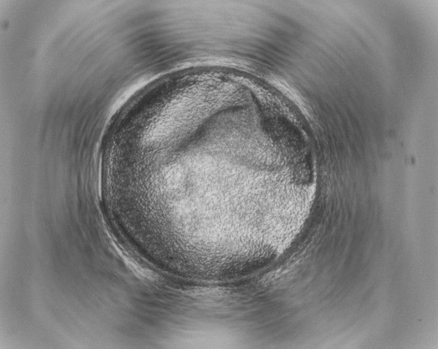 X0000087381127200705111729